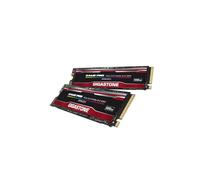 Gigastone GP6320 SSD 500GB 2-Pack PCIe 3.0x4 NVMe M.2 2280 Game Pro Gen3 PCIe Internal Solid State Drives 2,400MB/s Storage for PC Laptop Gaming 3D NAND SLC Cache High Speed Performance
