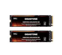 Gigastone HPC Computing SSD M.2 500GB (2-Pack) NVMe PCIe Gen 4, fina a 5.000 MB/s HMB Host Memory Buffer Cache per Machine Learning Coding Analisi Big Data NVMe PCIe 4.0 Unità a Stato Solido interno