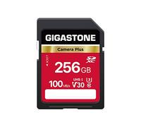 GIGASTONE Scheda di Memoria SDXC 256 GB, Camera Plus, Velocità 100 MB/s per Fotocamera Canon Sony Panasonic Kodak Olympus, V30 U3 UHS-I Classe 10 per 4K UHD Video, con 1 Mini Custodia