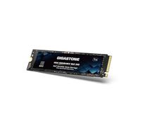 Gigastone SSD 1TB M.2 NAS SSD 24/7 Cache ad alta resistenza per archiviazione collegata alla rete Business Data Center Cloud personale PCIe 3.0 NVMe NAS Unit? a stato solido interna