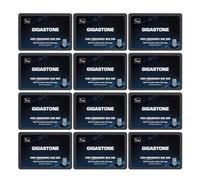 Gigastone SSD 1TB NAS SSD Disco (set da 12) 24/7 Alta Resistenza TLC business RAID Sync Cloud Dati Backup Network Attached Storage Cache SATA III 2,5 Pollici Unit? a stato solido interno