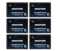 Gigastone SSD 1TB NAS SSD Disco (set da 6) 24/7 Alta Resistenza TLC business RAID Sync Cloud Dati Backup Network Attached Storage Cache SATA III 2,5 Pollici Unit? a stato solido interno