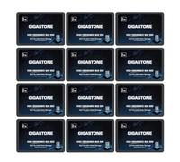 Gigastone SSD 2TB NAS SSD Disco (set da 12) 24/7 Alta Resistenza TLC business RAID Sync Cloud Dati Backup Network Attached Storage Cache SATA III 2,5 Pollici Unit? a stato solido interno