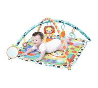 Giggly Garden Musical Gym