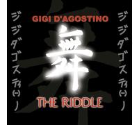 Gigi D'Agostino the riddle (Vinyl LP)