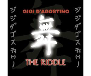Gigi D'Agostino the riddle (Vinyl LP)