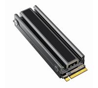 GiGimundo GSC 2TB PCIe4.0x4 NVMe M.2 SSD Interno con Dissipatore, 3D Nand TLC, fino a 7450MB/s, Compatibile con Playstation 5, PC Desktop Computer, per Giochi, Creazione di Contenuti e Video Editing