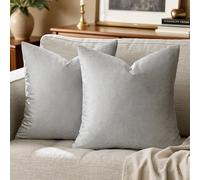 GIGIZAZA - Federe decorative per cuscini in velluto grigio argento 45 x 45 cm, per divano letto, confezione da 2 federe morbide per cuscino