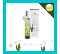 GIGLIO MARINO TULIPANO BIANCO Linea Profumata PRODOTTI SELEZIONABILI Nature's