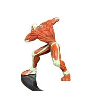 Gigsja 15 cm. Il corazzato Titan Red Vol.2 Reiner Braun Squat PVC Action Figur Angriff auf Titan