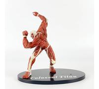 Gigsja Jaeger, Gigsja, Gigsja ·Ackerman Action Figure, Titan Anime Figures Character Figurine PVC Statue Collection Decoration Model Toy Gift 6.3'' (The Armored Titan 2)