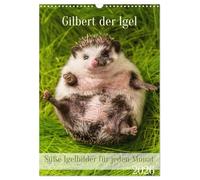 Gilbert der Igel (Wandkalender 2026 DIN A3 hoch), CALVENDO Monatskalender: Süße Igelbilder für jeden Monat