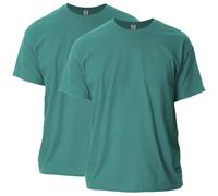 Gildan Men's Ultra Cotton T-Shirt, Style G2000, 2-Pack, Jade Dome, Medium