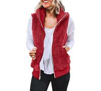 Gilet Donna Teddy Pile Invernale Caldo Trapuntato Tinta Unita Giacca in Pile Sherpa Cappotto Foderato in Velluto Giubbotto Peluche Termica Smanicato Cappotto Senza Maniche Elegante Offerta