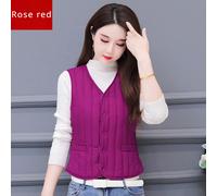 Gilet Termico Da Donna Foderato In Pile Imbottito Trapuntato Per Il Corpo Casual