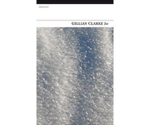 Gillian Clarke Ice (Tascabile)