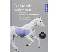 Gillian Higgins Anatomie verstehen - Die Organe des Pferdes: (Copertina rigida)