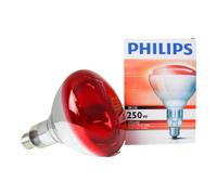 Gima 28654 Lampadina Ricambio 250 W