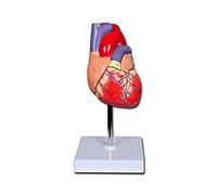 Gima 40069 Modello Cuore Linea Value, 2 Parti, 1x, Confezione 1 Pezzo