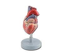 Gima 40071 Modello Cuore, 2 Parti, Confezione 1 Pezzo