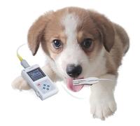 Gima - Pulsossimetro Oxy 50, Veterinario Portatile con Display A Colori per Cont