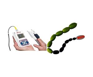 GIMA SATURIMETRO OXY 50 Pulsoximetro da Dito, Portatile, Professionale, Rileva Saturazione e Battito in Continuo& Orchidometro, misurazione testicoli