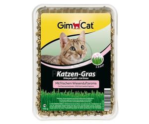 GimCat semi di erba gatta 150 g