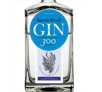 Gin. Arte, mestiere e nuova sapienza in 300 distillazioni