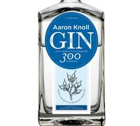 Gin. Arte, mestiere e nuova sapienza in 300 distillazioni - Knoll Aaron