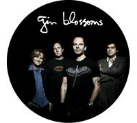 Gin Blossoms Live In Concert (Vinyl LP)