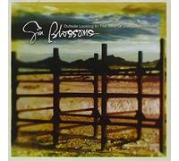 Gin Blossoms Outside Looking In: THE BEST OF THE GIN BLOSSOMS (CD) Album