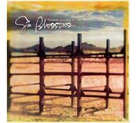 Gin Blossoms Outside Looking In: THE BEST OF THE GIN BLOSSOMS (CD) Album