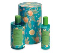 L'Erbolario Gin Botanicals Beauty Box Bacche di Ginepro - Bagnogel 300 ml + Lozione Deodorante 100 ml + Confezione in Latta - EDIZIONE LIMITATA - Fragranza Agrumata, Aromatica e Muschiata