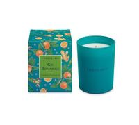 L'Erbolario Gin Botanicals Candela profumata 250 g - EDIZIONE LIMITATA - fragranza Agrumata, Aromatica, Muschiata