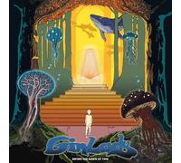 GIN LADY - BEFORE THE DAWN OF TIME - Vinyl Record - E72z