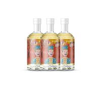 Gin Primo Africa - 43% Vol. - 0,7l (3 bottiglie)