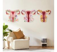 Ginecologico Riproduttivo Modello Utero Vagina Modello Decorazione murale Stampo Esperienza vaginale in diverse fasi per Centro estetico Istituto medico Conoscenza (Upgrade)