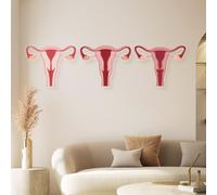 Ginecologico Riproduttivo Modello Utero Vagina Modello Decorazione murale Stampo Esperienza vaginale in diverse fasi per Centro estetico Istituto medico Conoscenza (Standard)