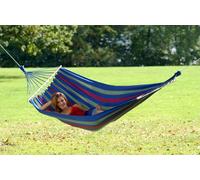 Ginepro Aruba niebieski