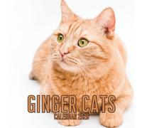 Ginger Cats Calendar 2026: 14-Month Organizer from Nov 2025 to Dec 2026 | Perfect for Home, Office, School & Family Scheduling, For Men , Women , Girls , Boys