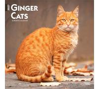Ginger Cats - Gingerkatzen - Rote Katzen 2027 - 16-Monatskalender: Original BrownTrout-Kalender [Mehrsprachig] [Kalender]