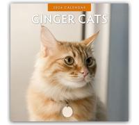 Ginger Cats - Rote Katzen - Gingerkatzen 2026 - 16-Monatskalender: Original Red Robin Publishing Ltd-Kalender [Mehrsprachig] [Kalender]