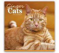 Ginger Cats - Rothaarige Katzen 2026 - Wand-Kalender: Original Carousel-Kalender [Mehrsprachig] [Kalender]