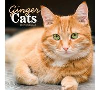 Ginger Cats - Rothaarige Katzen 2027 - Wand-Kalender: Original Carousel-Kalender [Mehrsprachig] [Kalender]