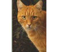 Ginger Domestic Shorthair Cat Notebook - 125 Lined Pages, 6x9: Cute Cat Journal for Writing, Notes, or School | Perfect Gift for Cat Lovers
