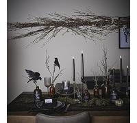 Ginger Ray Ghirlanda da appendere con ramoscelli e bacche, per Halloween, 1 m