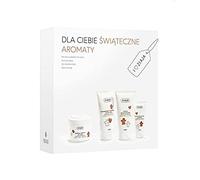 Gingerbread Gift Set