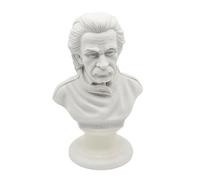 GINGERSHOPONLINE Busto Decorativo di Einstein in Polvere di Alabastro e Resina, altezza 15 cm, Base in Alabastro, Artigianato Made in Italy