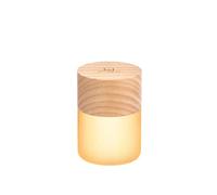 Gingko Lemelia - 7 luci notturne RGB che cambiano colore, batteria a lunga durata, ricarica USB-C, 3 modalità di illuminazione, certificazione FSC, controllo a pulsante touch (cenere bianco)