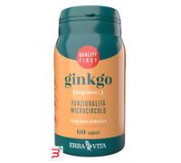 GINKGO 60 CAPSULE